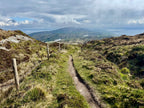 OneWalk Ireland