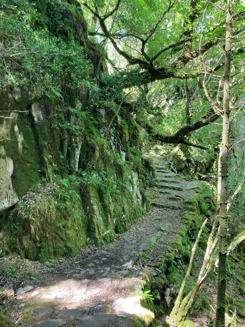OneWalk Ireland