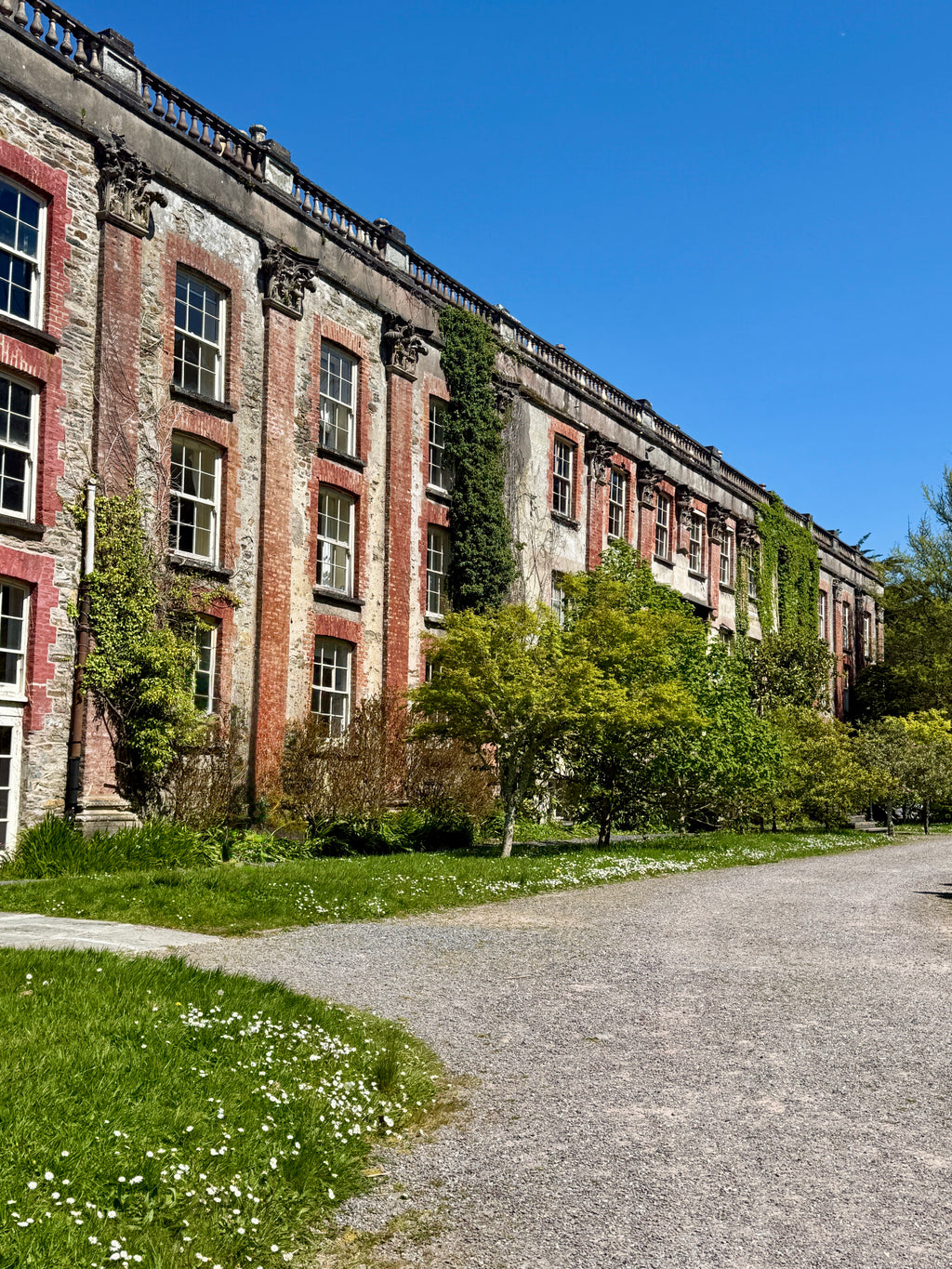 OneWalk Ireland